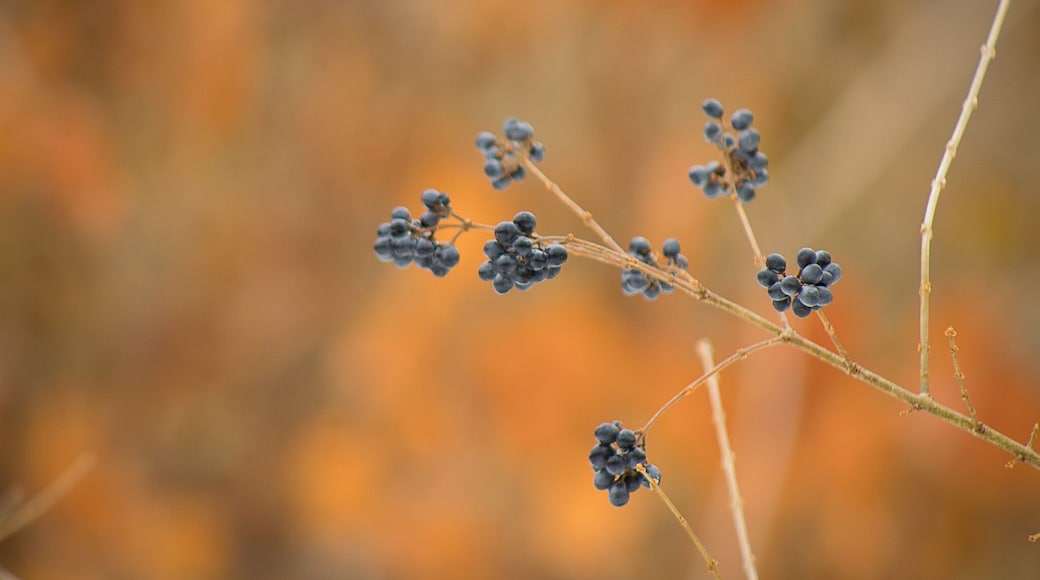 I spotted this colorful scene a few feet away from where I was taking a different photo!