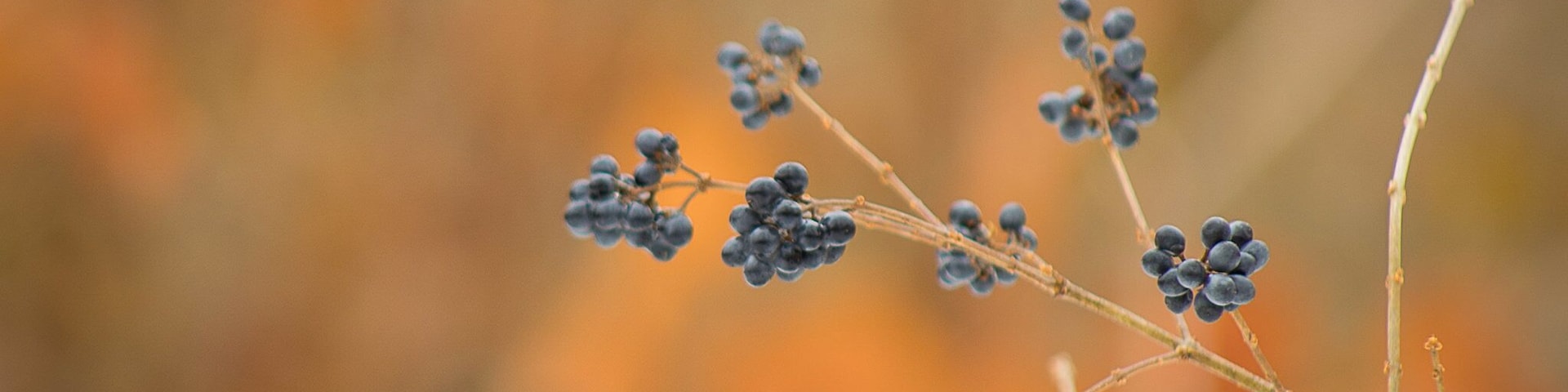 I spotted this colorful scene a few feet away from where I was taking a different photo!