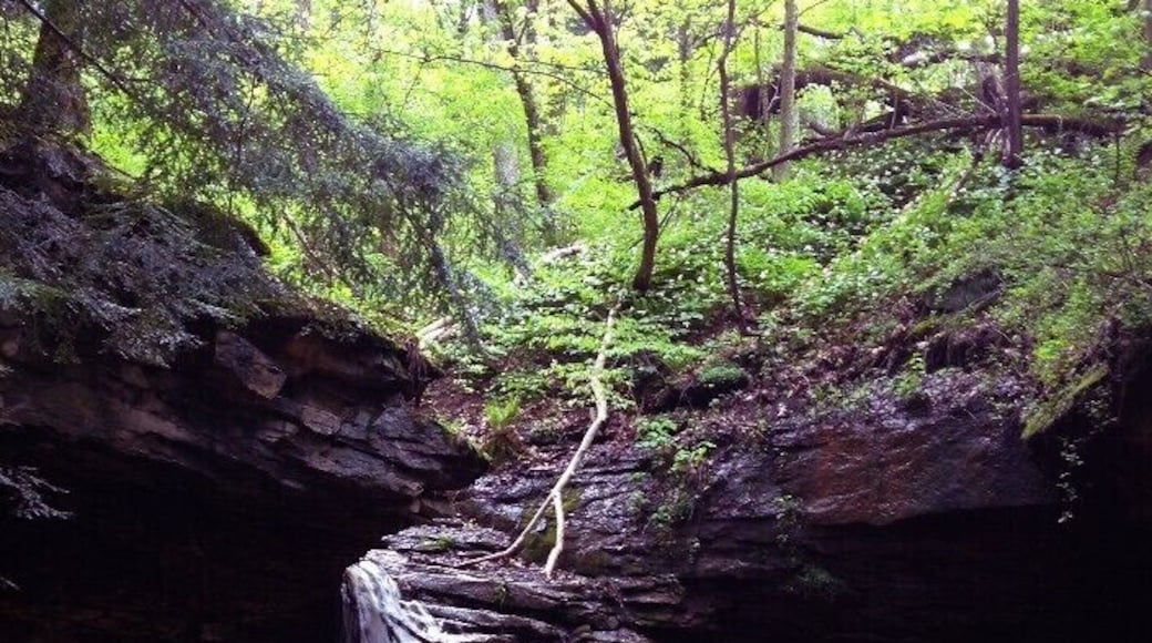 The beautiful waterfall along the Mineral Springs Trail. #hiking