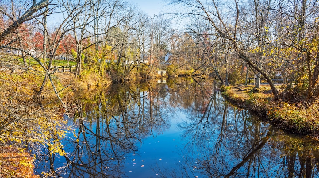 Comté de Burlington