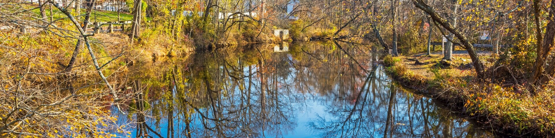 Rancocas Creek Reflections