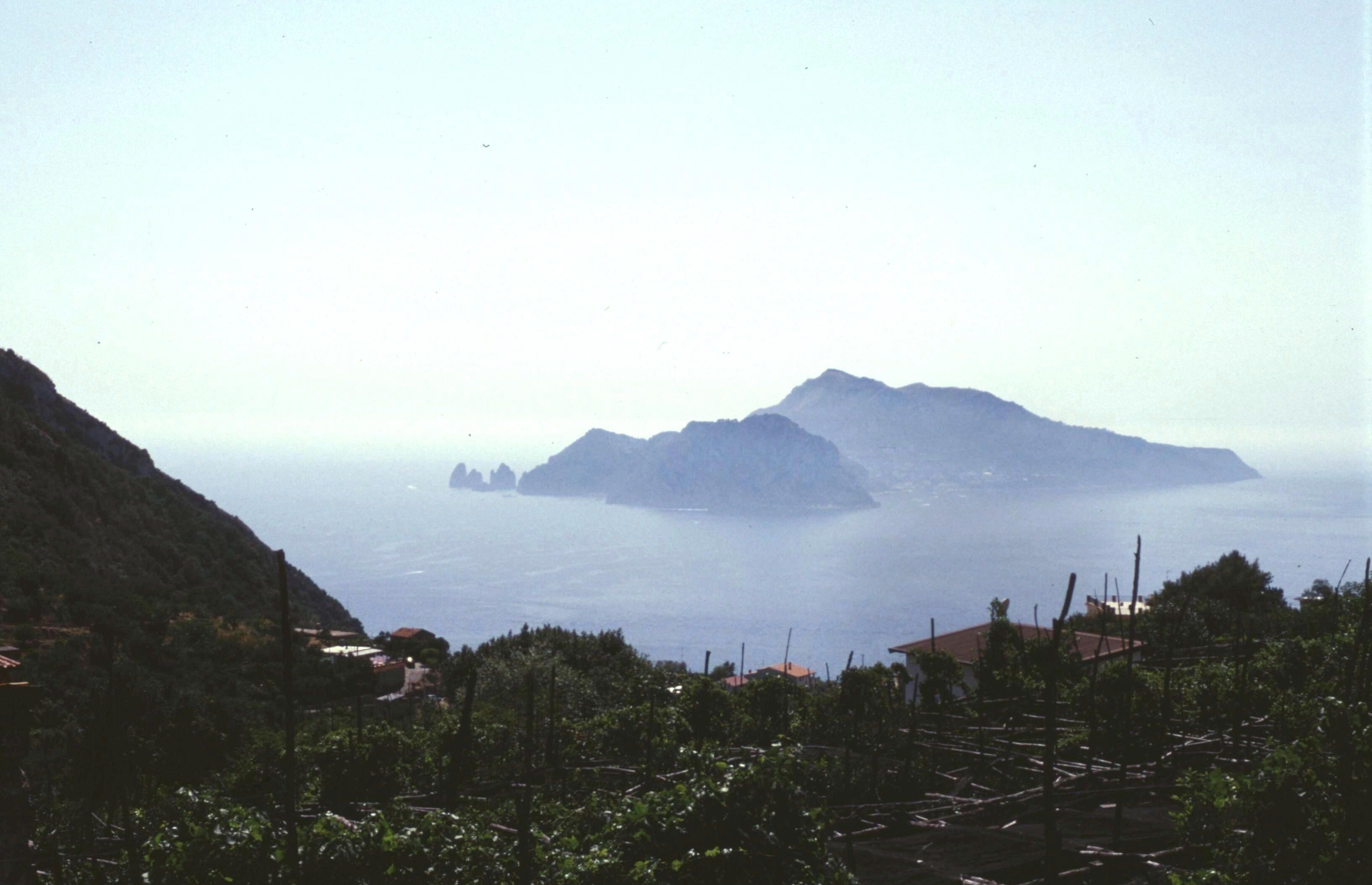 A coastal landscape with a prominent mountain in the distance, surrounded by vineyards and houses.