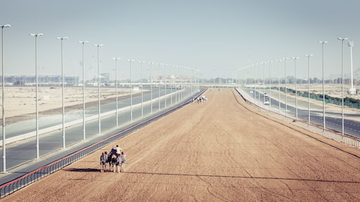 A wide, open road with a clear sky, flanked by tall streetlights and bordered by a fence.