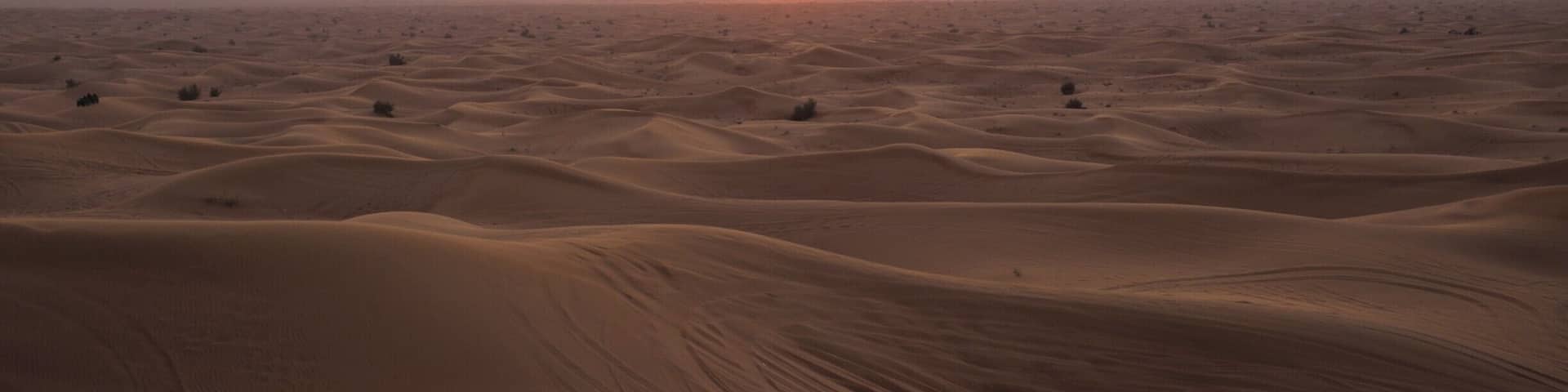 One of the best things in Dubai and other Arab Emirates is the surrounding vast and beautiful desert. I only got to see it during the desert safari, but if you've got money, organize your own private tour. It is definitely worth it.
#Golden