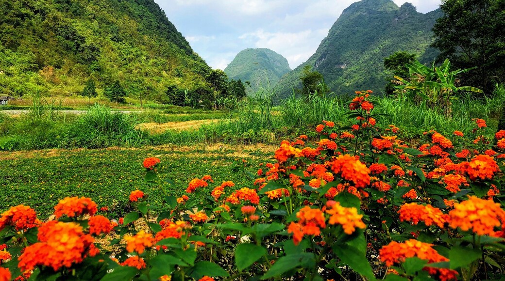 Northeast Vietnam