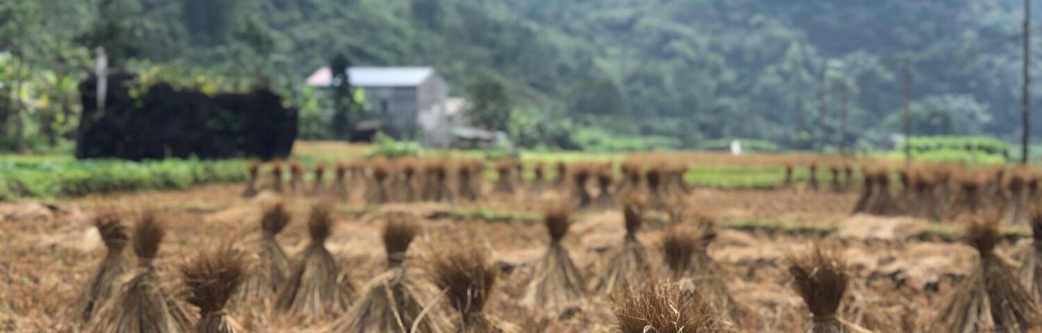 Beautiful scenery around the monument