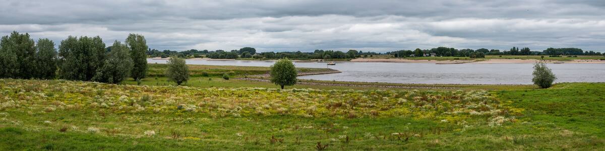Landscape view over the natural floodplain of the River Waal, Dodewaard