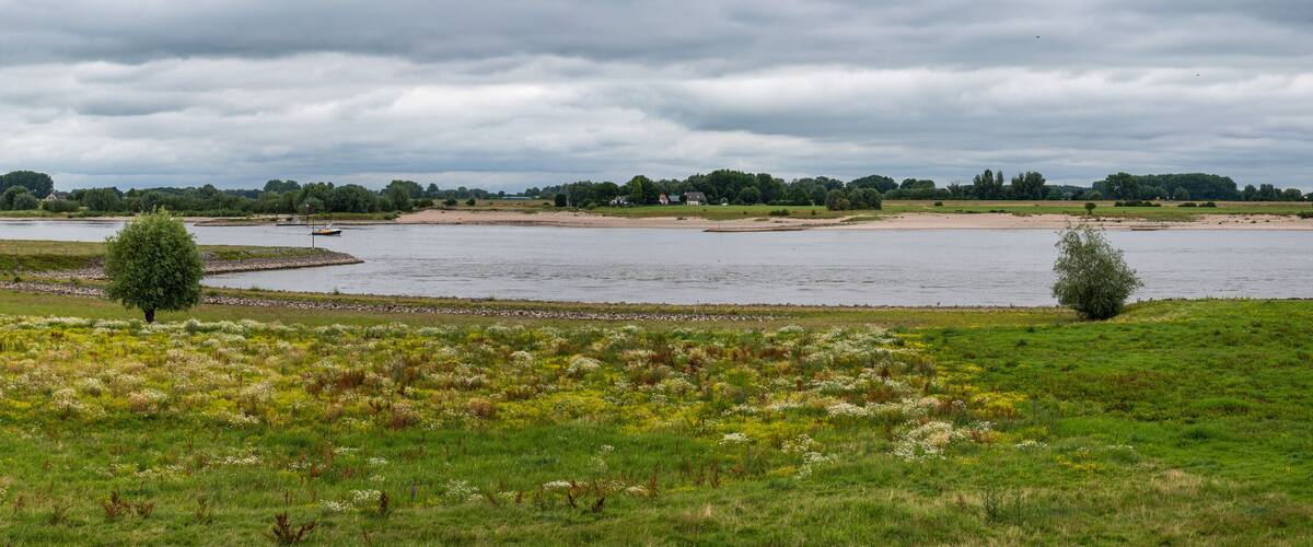 A river with a sandy bank, surrounded by green fields and trees.