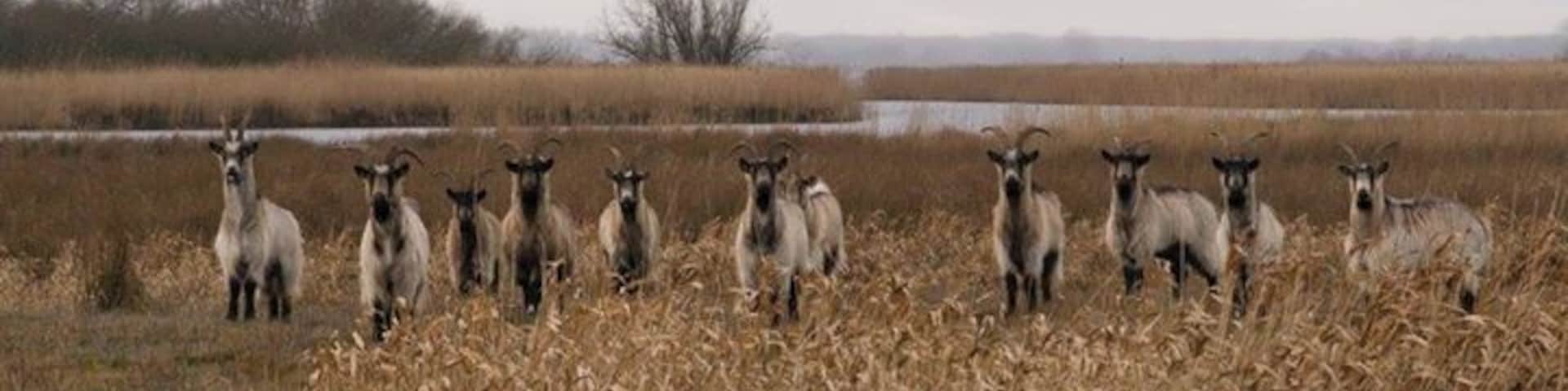 A lake situated in Groningen and Drenthe. You can do all kinds of watersport. There is a beach, campings and a lot of bycicle roads.