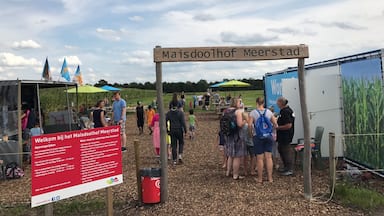 Maize maze in Meerstad (for free), near the city of Groningen. The longest trail is 4KM and for little children there is a smaller maze.