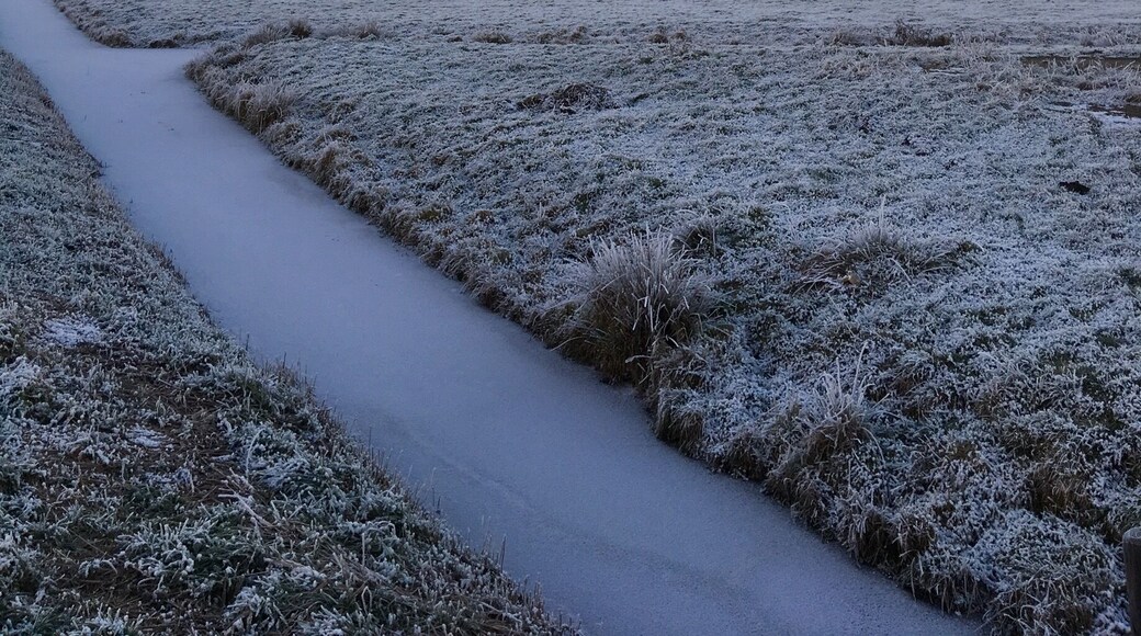 During my morning walk, Who Said that winter can't be beautiful? #Winterwonderland