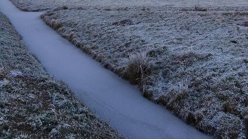 During my morning walk, Who Said that winter can't be beautiful? #Winterwonderland