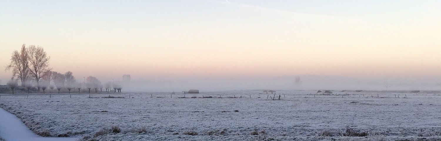 During my morning walk, Who Said that winter can't be beautiful? #Winterwonderland