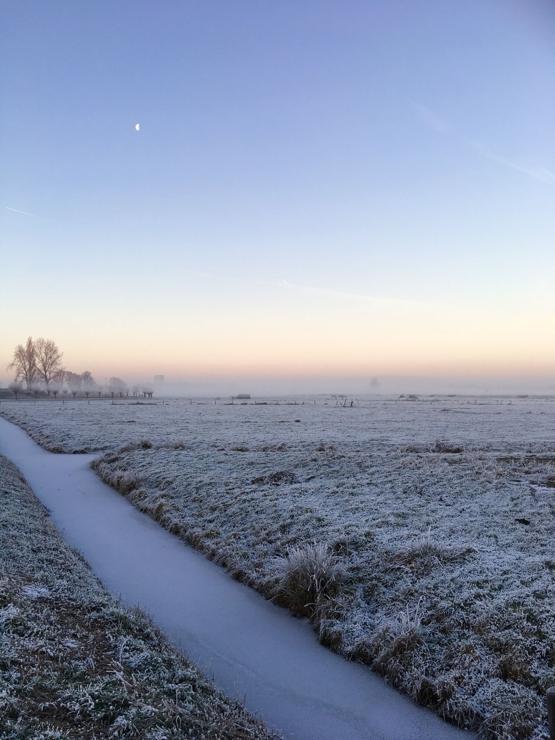 A frosty field with a narrow path and a crescent moon in the sky.