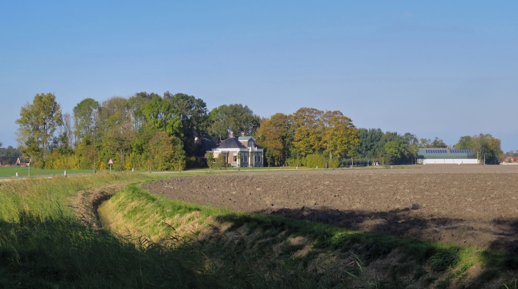 Boerderij omringd door prachtige bomen.
#architecture