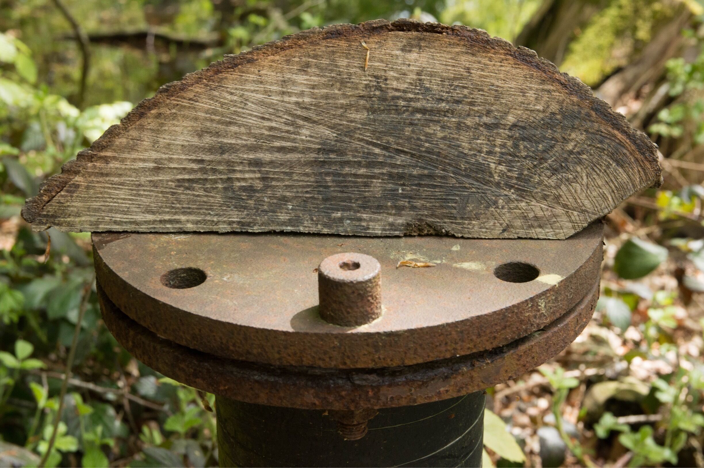 Laughing About nothing 