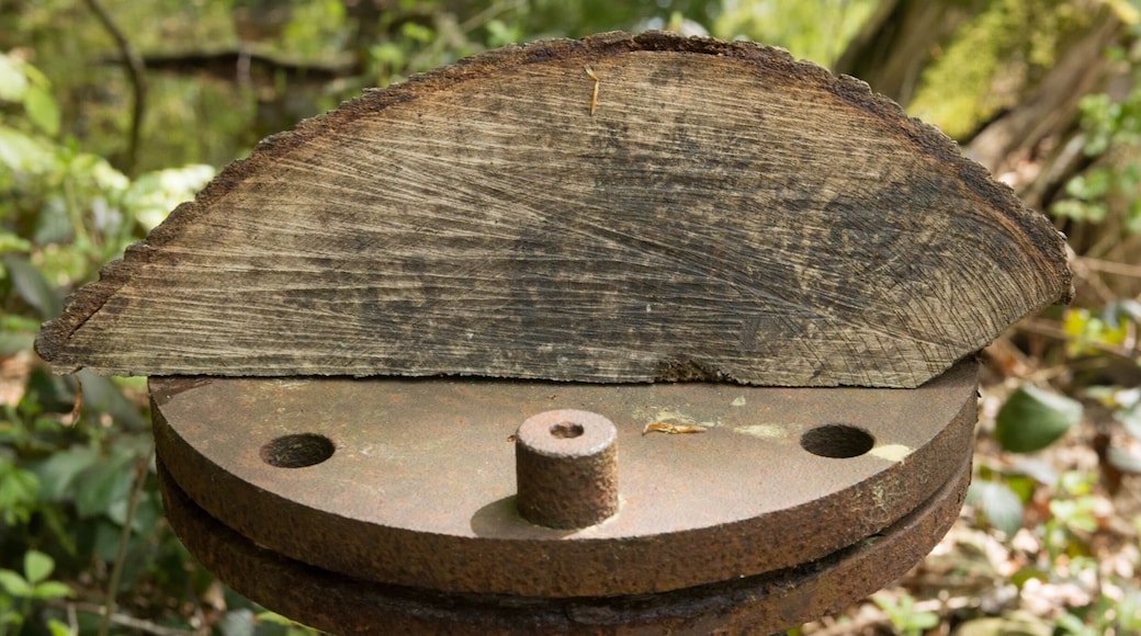 Laughing About nothing