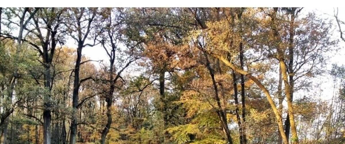 This is the swimmingpool of king Willem 3. It's now a Lovely Place for walking.