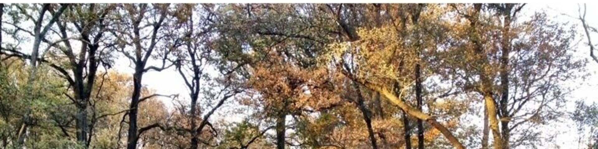 This is the swimmingpool of king Willem 3. It's now a Lovely Place for walking.