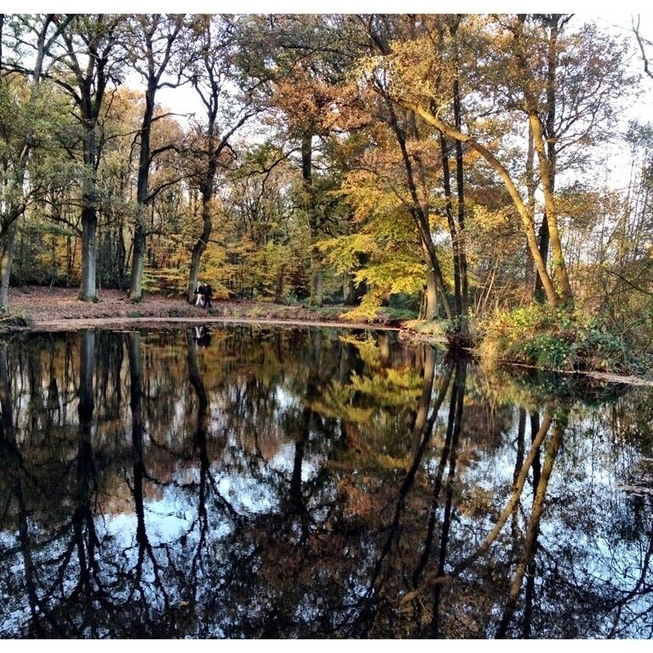 This is the swimmingpool of king Willem 3. It's now a Lovely Place for walking.