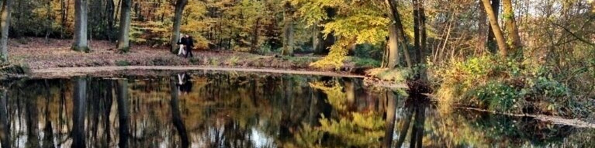 This is the swimmingpool of king Willem 3. It's now a Lovely Place for walking.