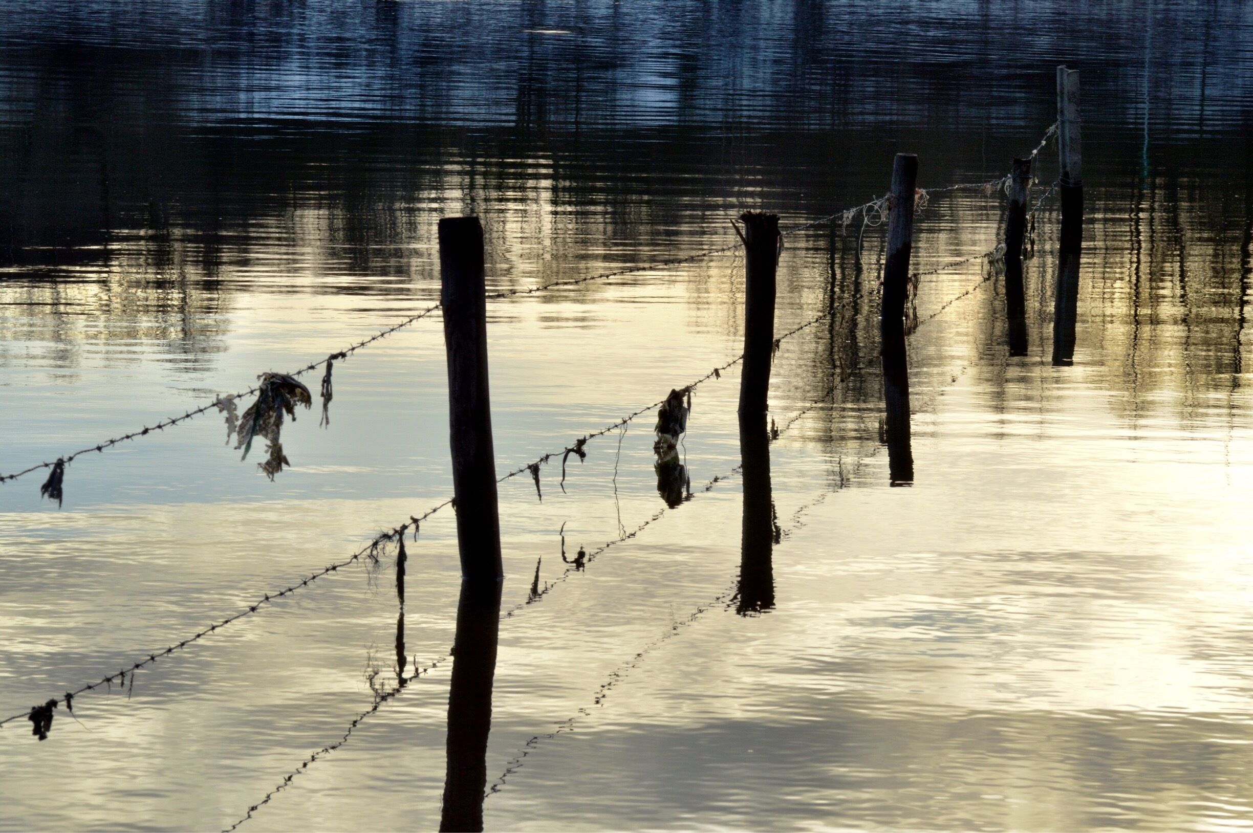 A barbed wire fence in a body of water with reflections of trees.