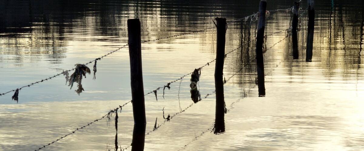 A barbed wire fence in a body of water with reflections of trees.
