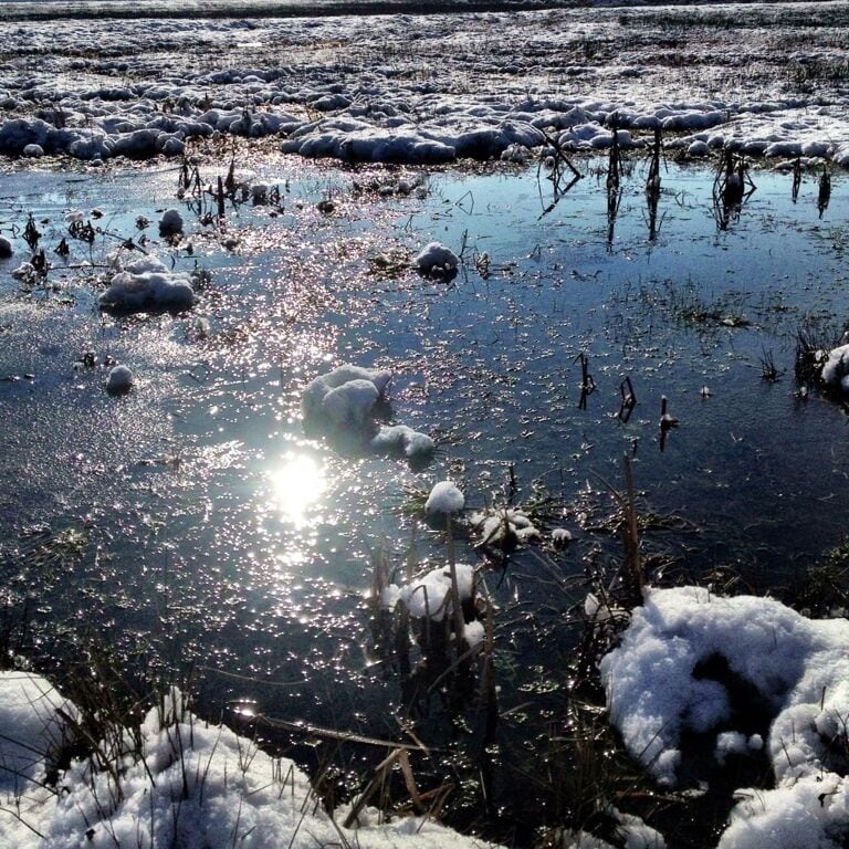 The winter is almost over. 