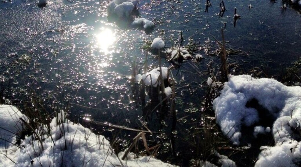 The winter is almost over.