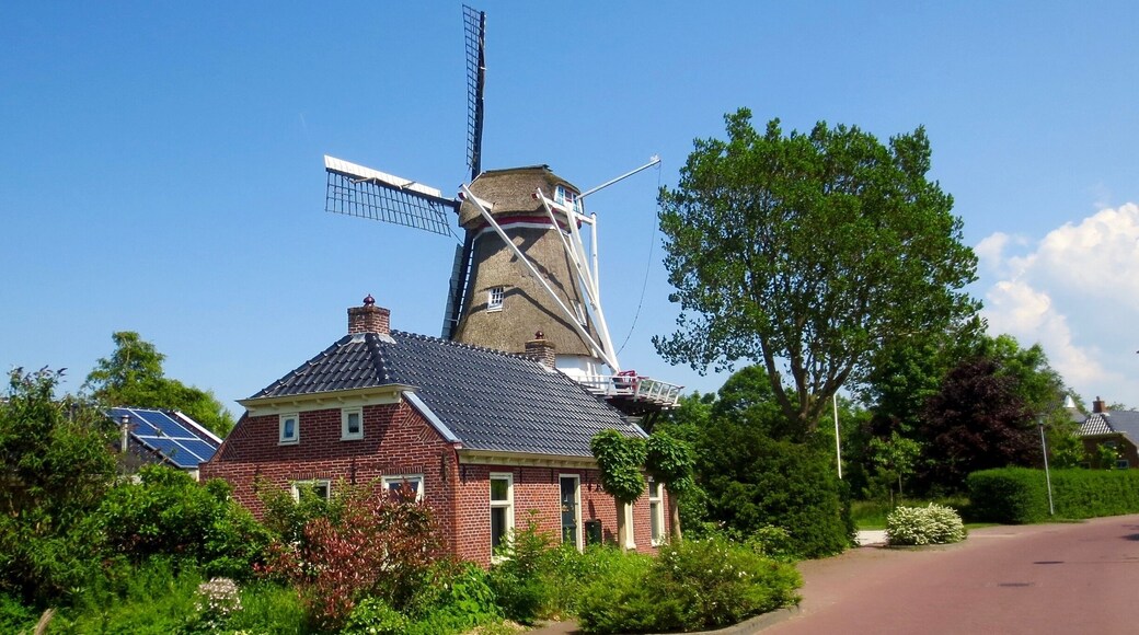 Molen Windlust
#windmill, #architecture