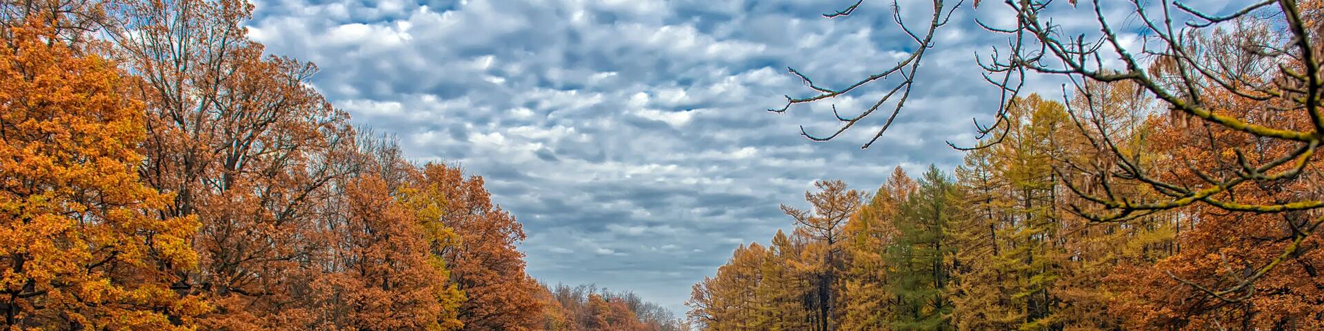 autumn trees along river and reflection