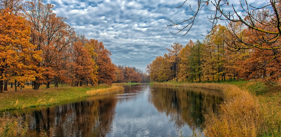 autumn trees along river and reflection