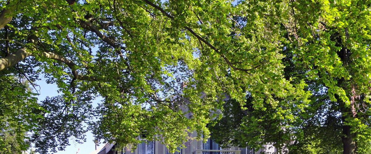 A large, historic house with a well-maintained lawn and a swing set.