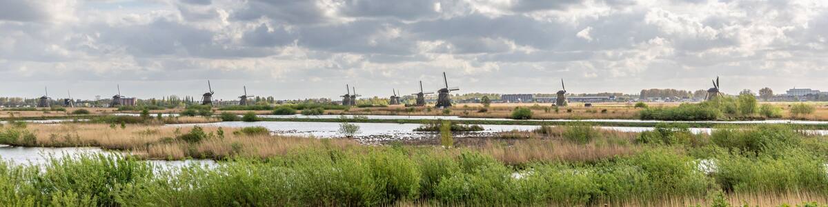 Farbenexplosion in den Niederlanden