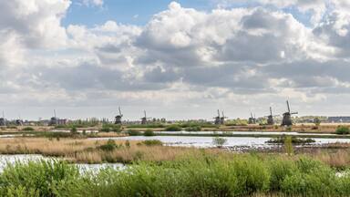 Farbenexplosion in den Niederlanden