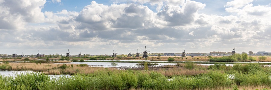 Farbenexplosion in den Niederlanden