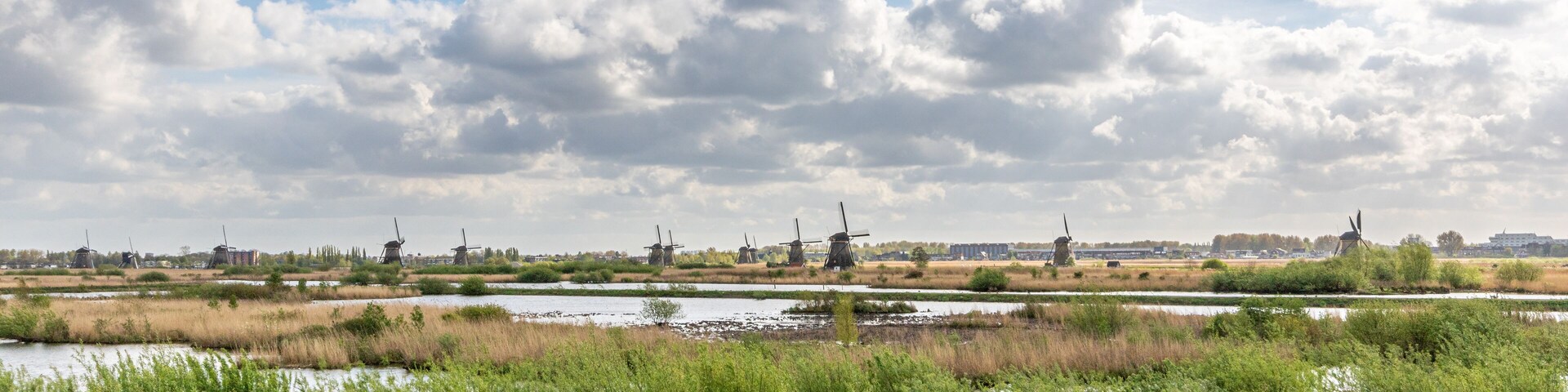 Farbenexplosion in den Niederlanden