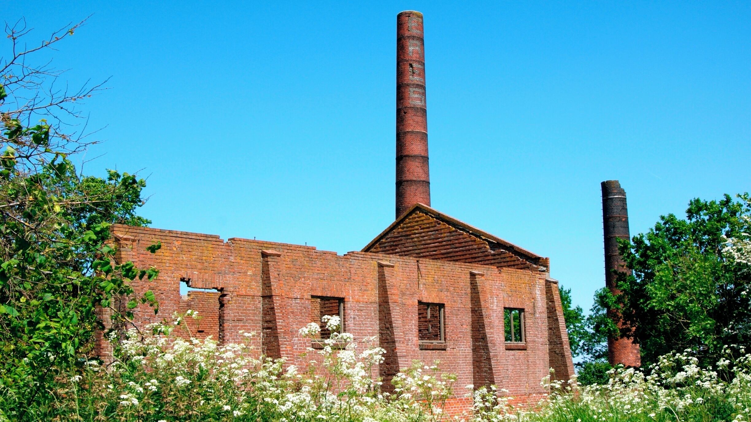 An abandoned brick building with two tall chimneys, surrounded by greenery and white flowers.