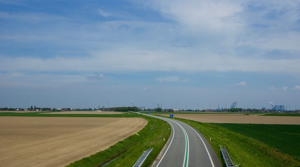 De Eemshavenweg richting de Eemshaven.