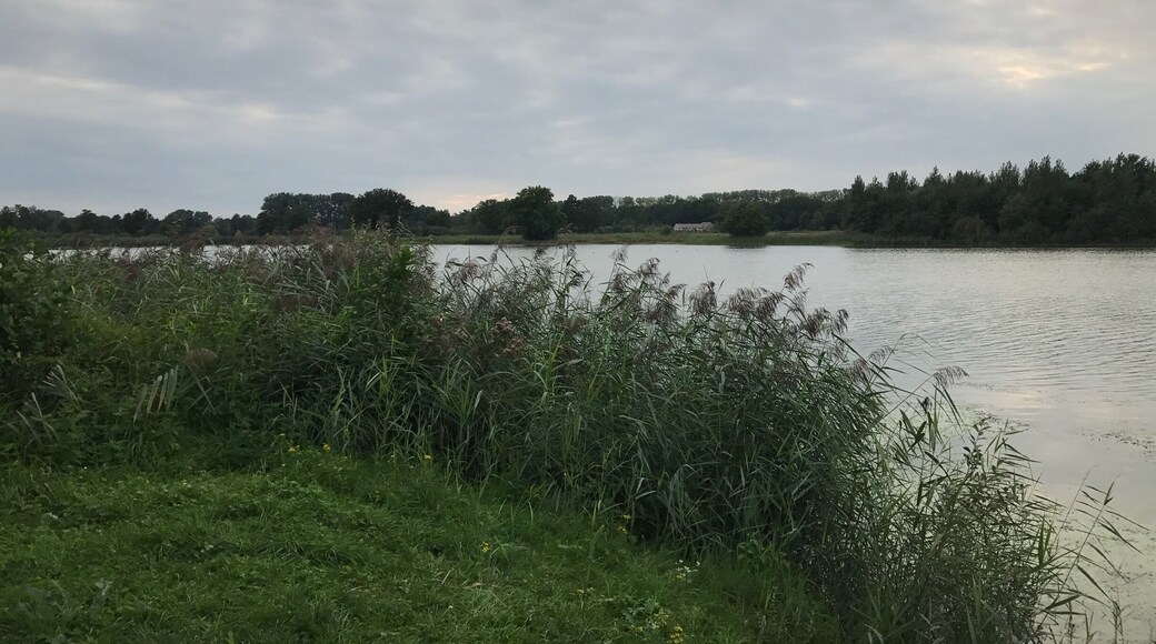 Nice evening walk.
De Vilt, Beugen - the Netherlands 🇳🇱