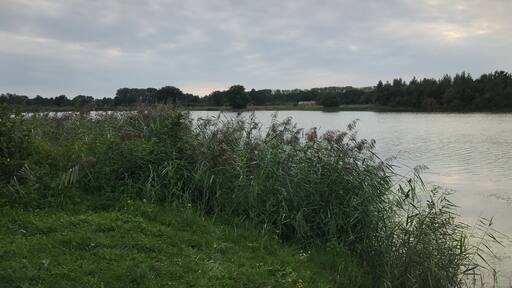 Nice evening walk.
De Vilt, Beugen - the Netherlands 🇳🇱
