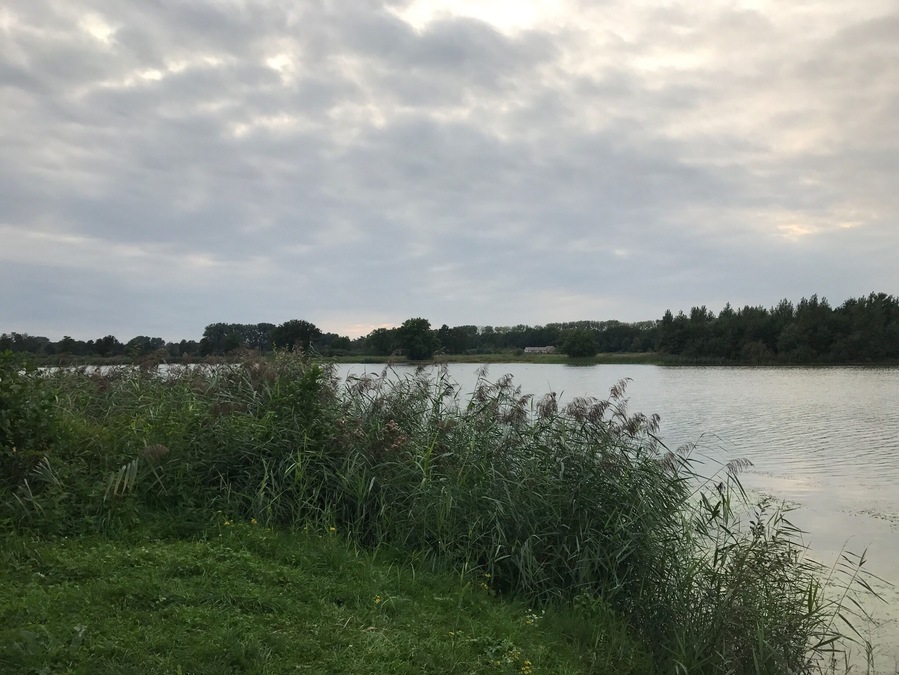 Nice evening walk. 
De Vilt, Beugen - the Netherlands 🇳🇱