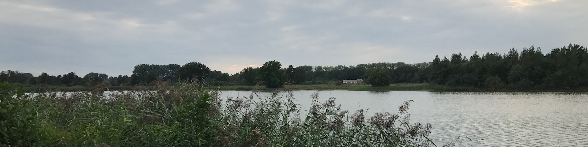Nice evening walk.
De Vilt, Beugen - the Netherlands 🇳🇱