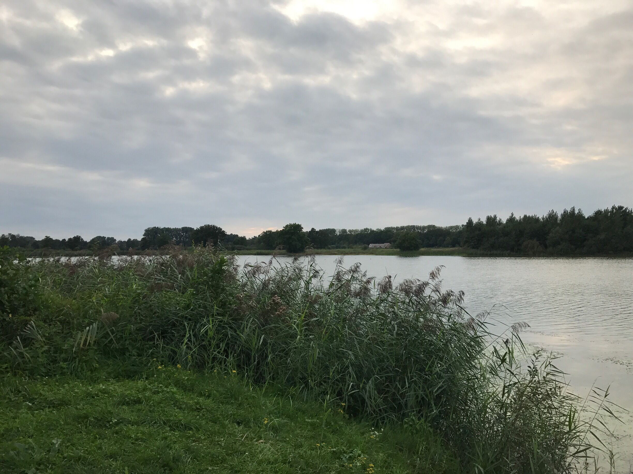 A lake surrounded by dense vegetation and trees under a cloudy sky.
