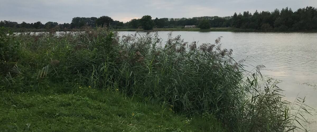 A lake surrounded by dense vegetation and trees under a cloudy sky.
