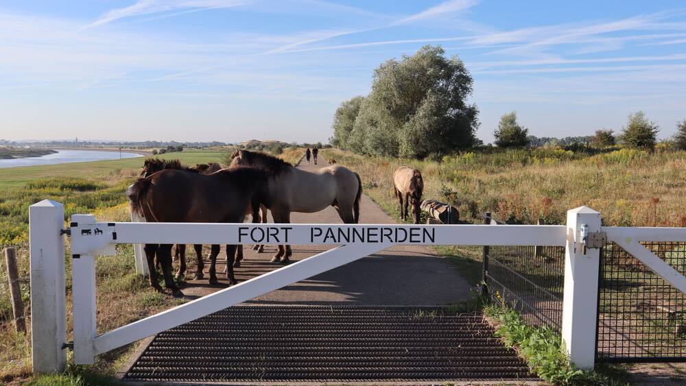 A white gate with 'FORT PANNERDEN' written on it, leading to a pathway with horses and people.
