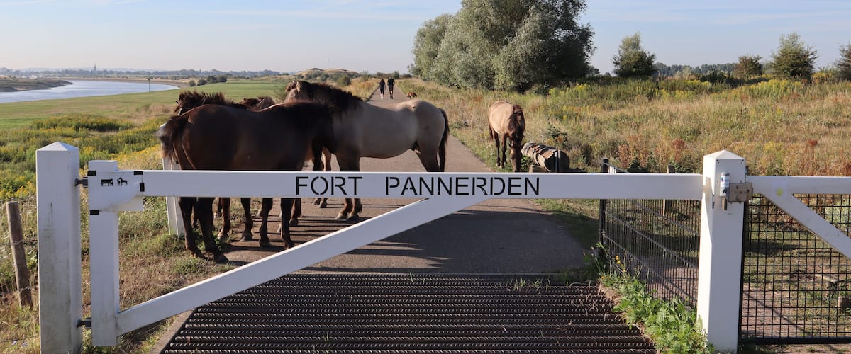 En vit grind med texten ”FORT PANNERDEN” på, som leder till en stig där det finns hästar och människor.