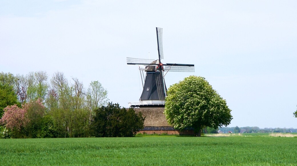Molen De Hoop
#windmill, #architecture