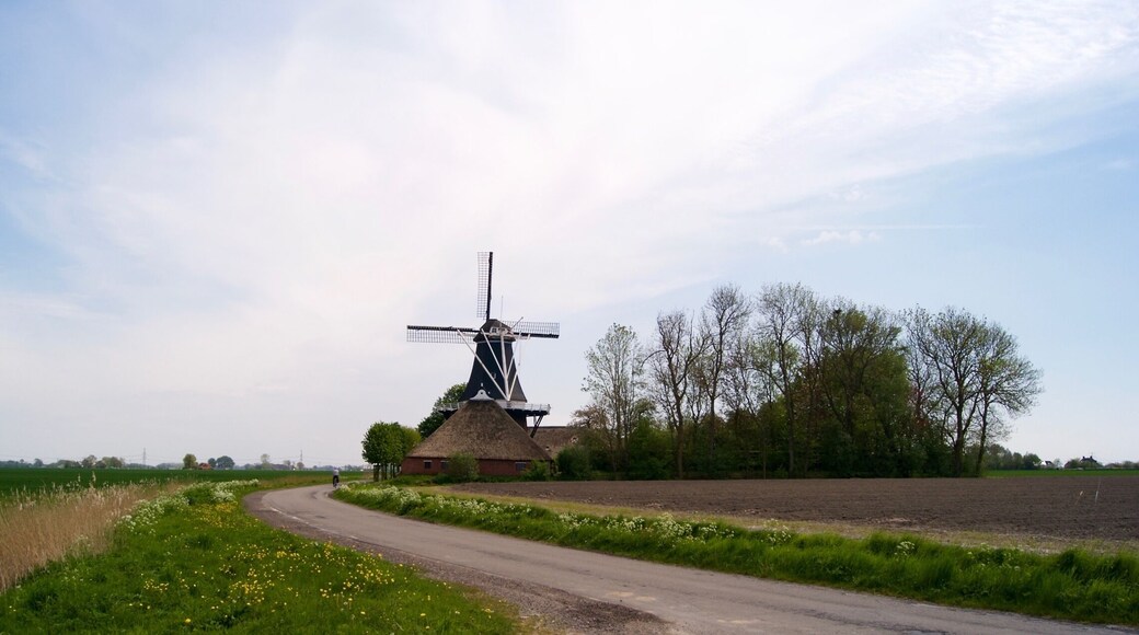 Molen De Hoop
#windmill, #architecture