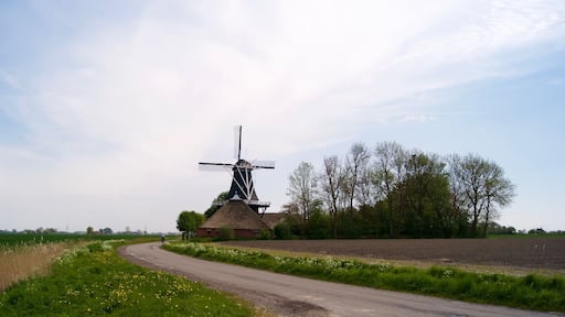 Molen De Hoop
#windmill, #architecture